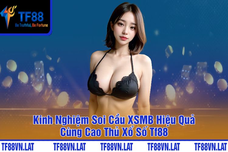 Kinh Nghiệm Soi Cầu XSMB Hiệu Quả Cùng Cao Thủ Xổ Số Tf88