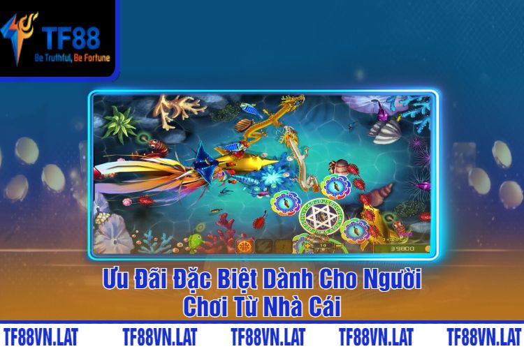 Ưu Đãi Đặc Biệt Dành Cho Người Chơi Từ Nhà Cái